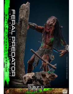 Feral Predator Battle... 2