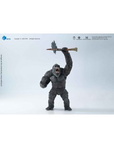 Kong. MonsterVerse... 2
