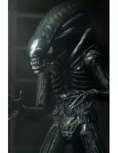 Ultimate Alien 40th... 2