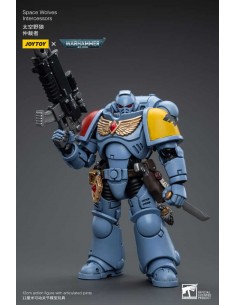 Space Wolves Intercessors....