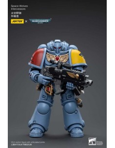 Space Wolves Intercessors.... 2