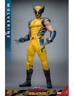 Wolverine 1/6. Movie...
