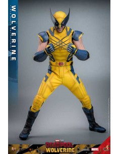 Wolverine 1/6. Movie... 2