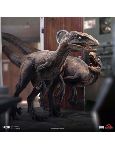 Raptors at the Kitchen's... 2