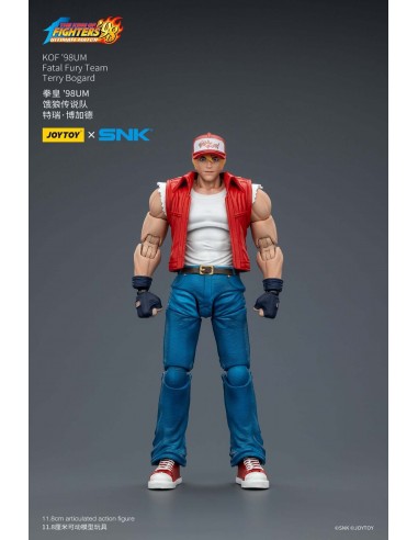 Terry Bogard 1/18. The King Of...