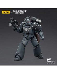 Space Wolves MKVI Tactical... 2