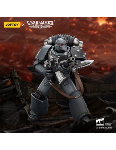 Space Wolves MKVI Tactical...