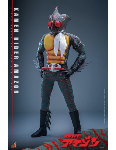 Amazon (Daisuke Yamamoto) 1/6. Kamen...