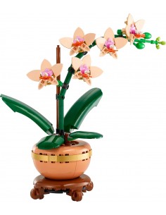 Mini Orchid. Botanicals....
