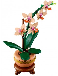 Miniorquídea. Botanicals.... 2