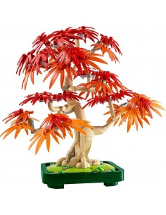 Japanese Red Maple Bonsai...