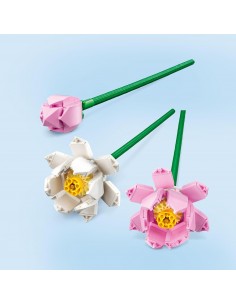 Flores de Loto. Botanicals.... 2