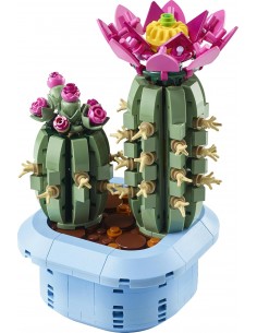 Cactus en Flor. Botanicals....