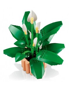 Lily of Peace. Botanicals.... 2