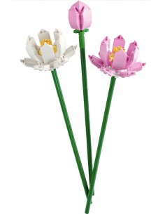 Lotus Flowers. Botanicals....
