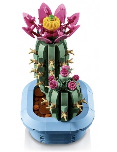 Cactus en Flor. Botanicals.... 2