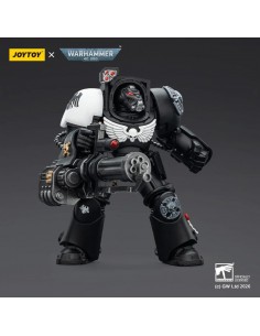 Raven Guard Terminator 3... 2
