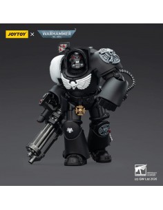 Raven Guard Terminator 3...