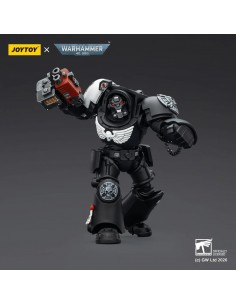 Raven Guard Terminator 2...