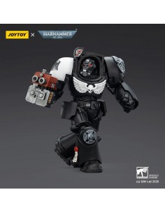 Raven Guard Terminator 2... 2
