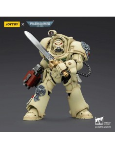 Dark Angels Deathwing... 2