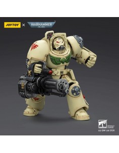 Dark Angels Deathwing... 2