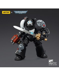 Raven Guard Terminator 1... 2