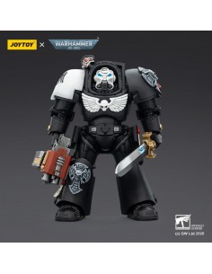 Raven Guard Terminator 1...
