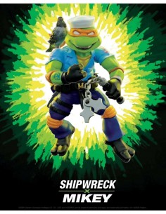 Michelangelo x Shipwreck....