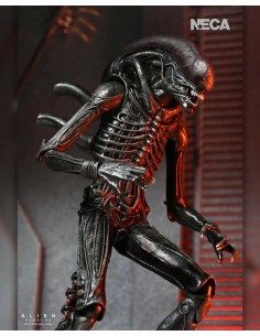 Ultimate Xenomorph XX121.... 2