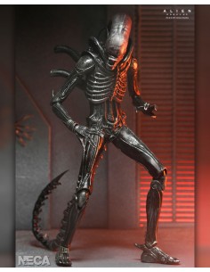 Ultimate Xenomorph XX121....
