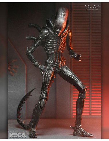 Ultimate Xenomorph XX121. Alien:...