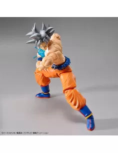 Son Goku Ultra Instinct....