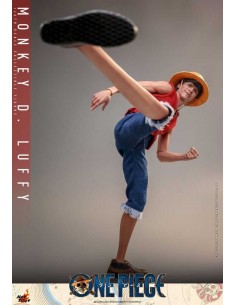 Monkey D. Luffy 1/6. One... 2