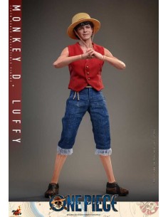 Monkey D. Luffy 1/6. One...