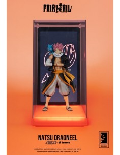 Natsu Dragneel. The Fairy...