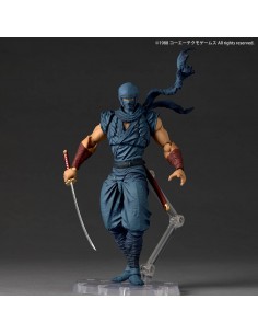 Ryu Hayabusa Ninja Ver....