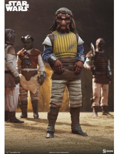 Vizam 1/6. Star Wars. Sideshow