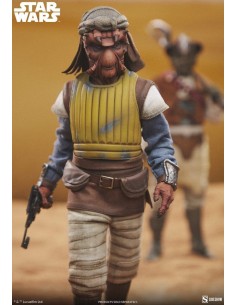 Vizam 1/6. Star Wars. Sideshow 2