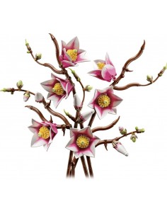 Ramas de Magnolia....