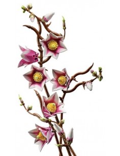 Ramas de Magnolia.... 2
