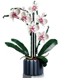 Orquídeas . Botanicals....