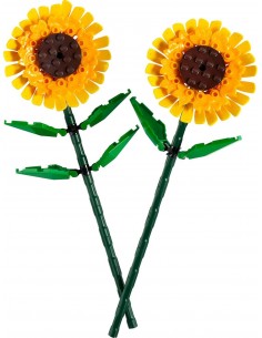 Sun Flowers. Botanicals....