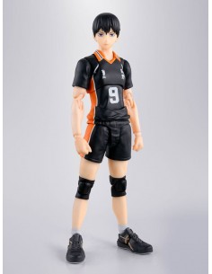 Tobio Kageyama. SH...