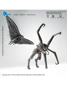 Male & Female Muto....