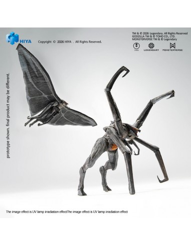 Male & Female Muto. Exquisite Basic...