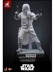 Snowtrooper Commander...