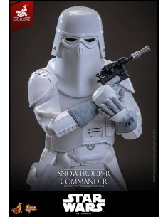 Snowtrooper Commander... 2