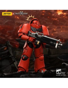 Blood Angels Heavy...