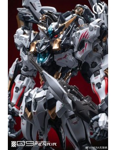 RMD Series 1/72 Fenrir. IN... 2